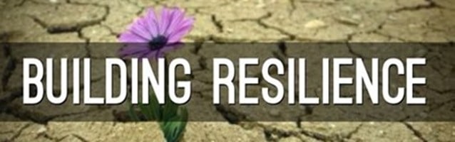 small flower growing though cracking mud representing resilience
